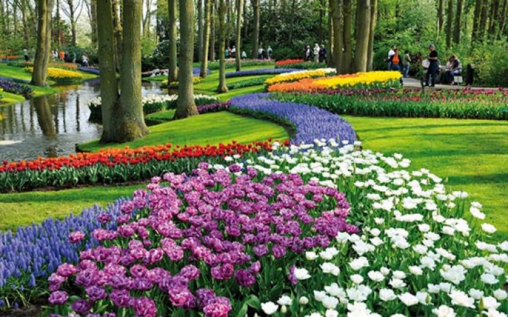 Keukenhof Trip Packages