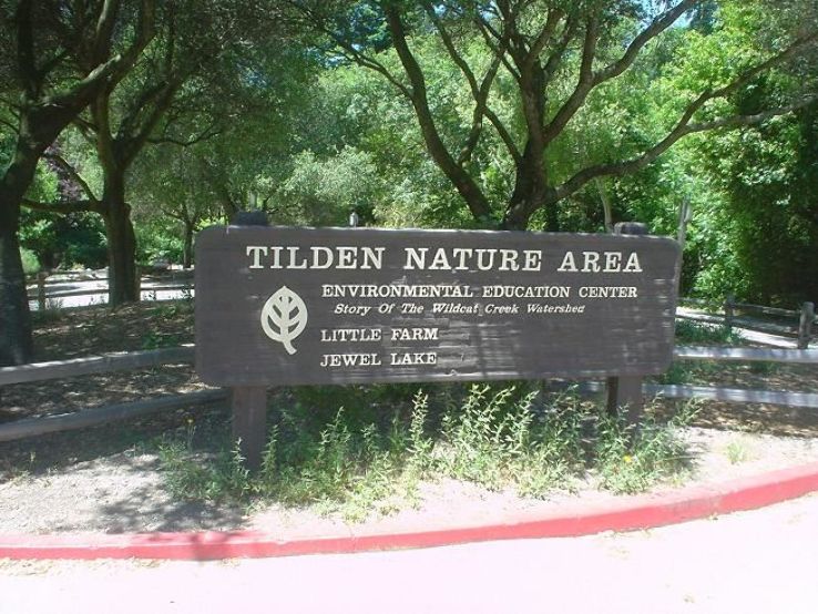 Tilden Nature Area Trip Packages