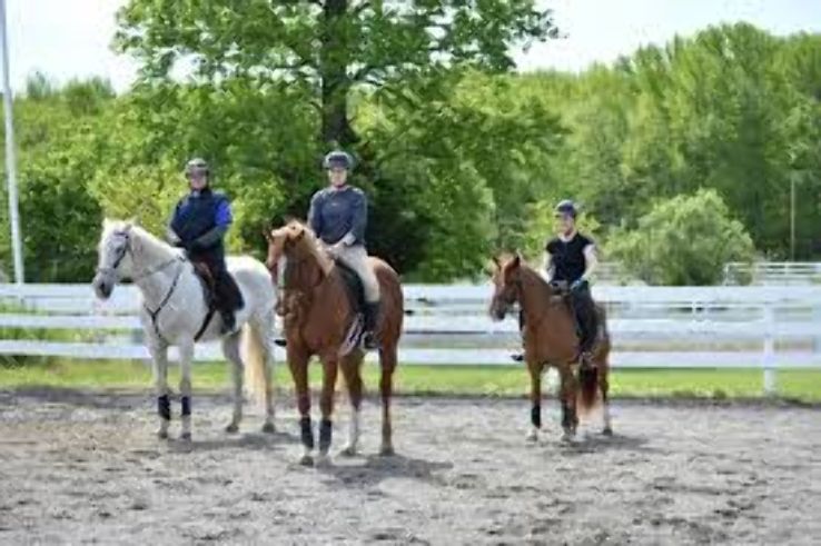 Horseplay Stables Trip Packages