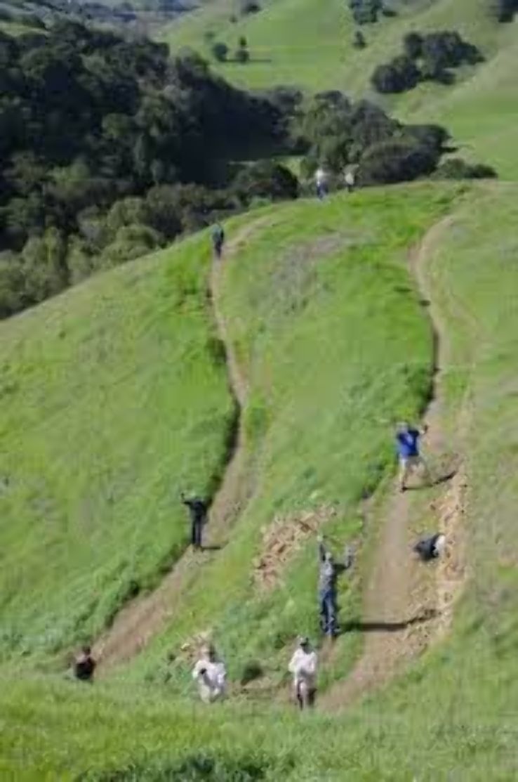 Crockett Hills Regional Park Trip Packages