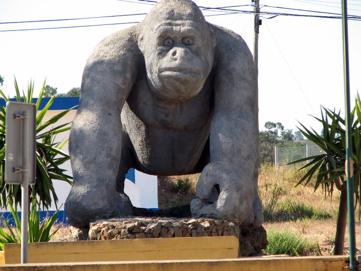 Lagos Zoo Trip Packages
