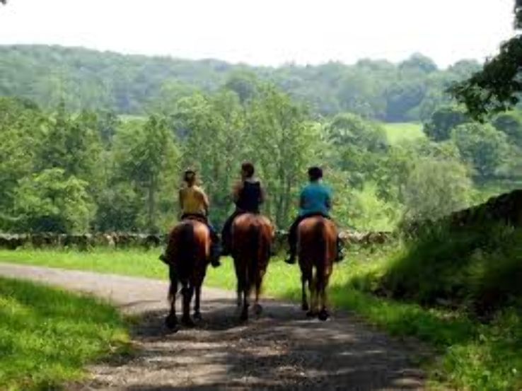 Smokemont Riding Stables Trip Packages