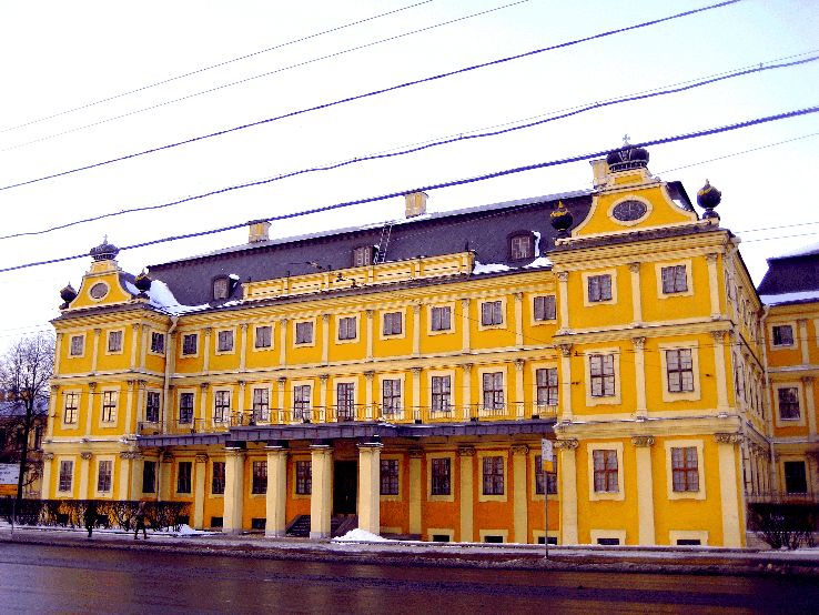 Menshikov Palace  Trip Packages