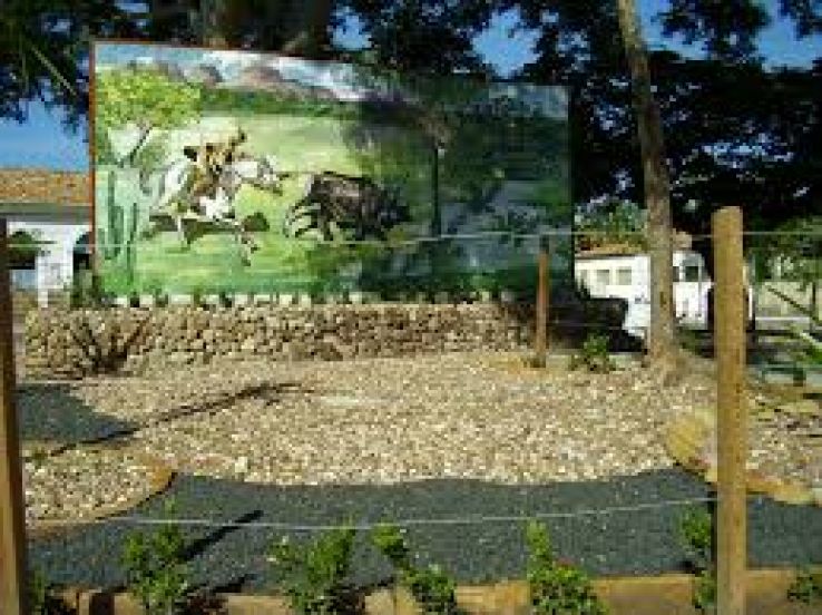 Cajueiro de Humberto de Campos Trip Packages