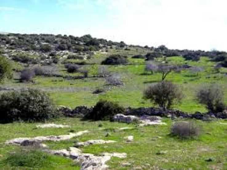 Eshtaol Forest Trip Packages