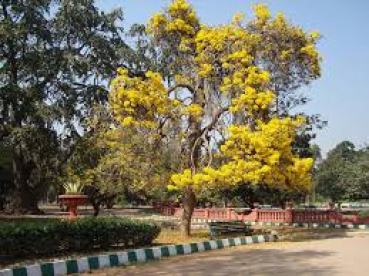 Lalbagh Botanical Garden Trip Packages