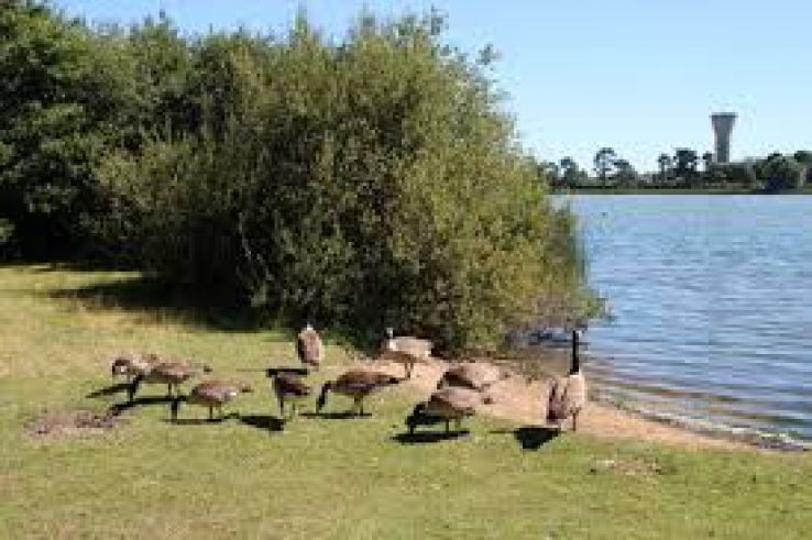 Etang de Saint-Quentin Trip Packages