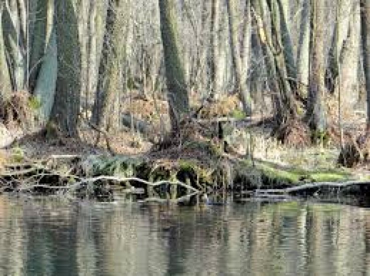 Niebieskie Zrodla Nature Reserve Trip Packages