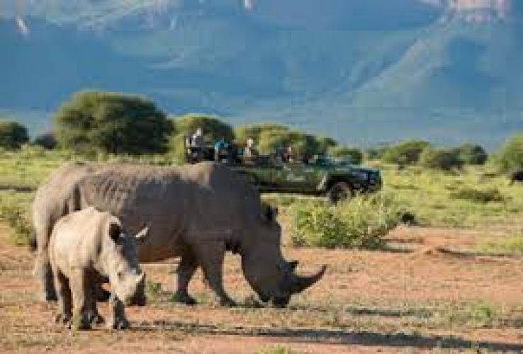 Marakele National Park Trip Packages