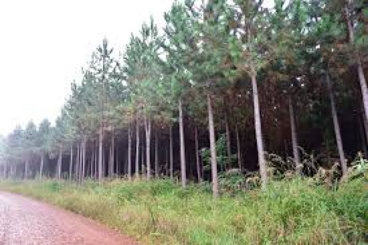 Blyde River Canyon Nature Reserve Trip Packages