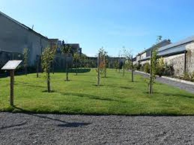 Rothe House & Garden Trip Packages