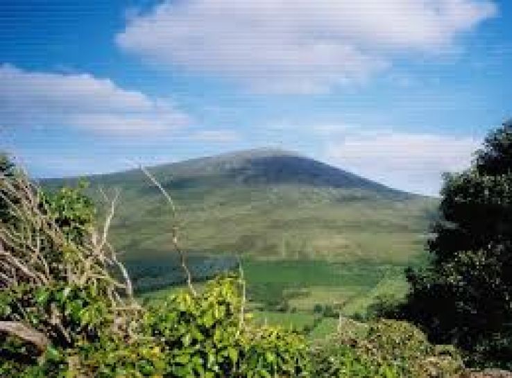 Enniscorthy Castle Trip Packages