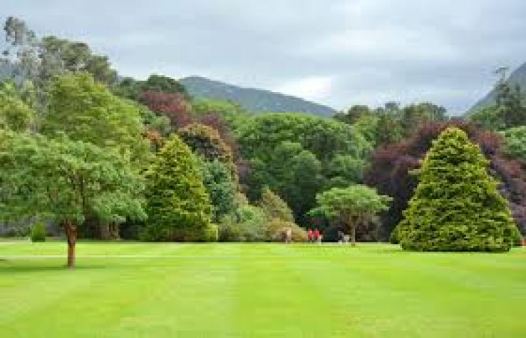 Killarney National Park Trip Packages