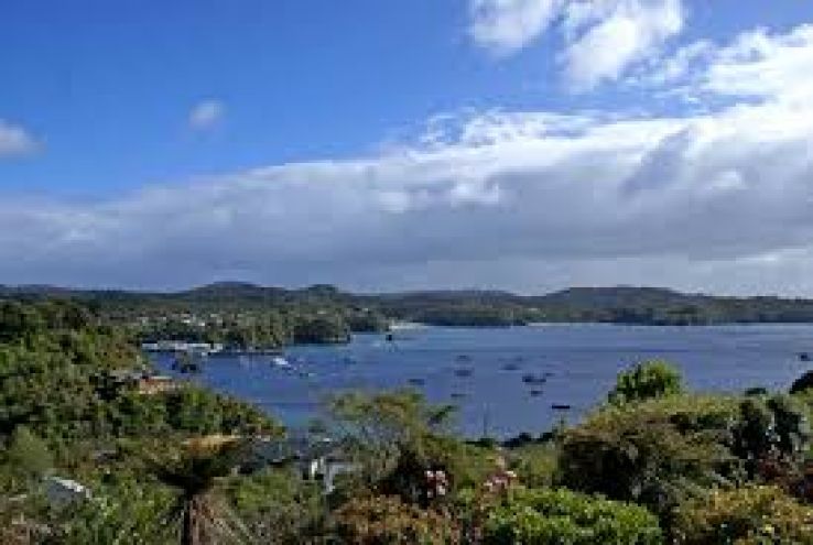 Rakiura Trip Packages
