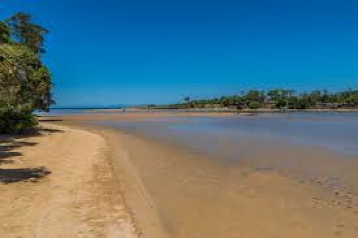 Totaranui Trip Packages