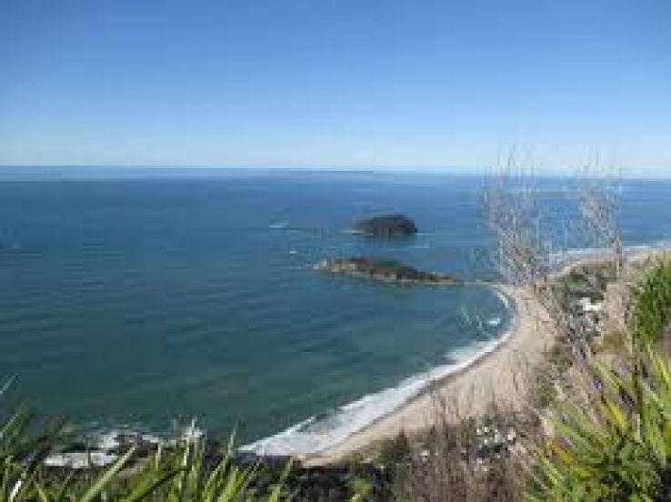 Tasman Trip Packages