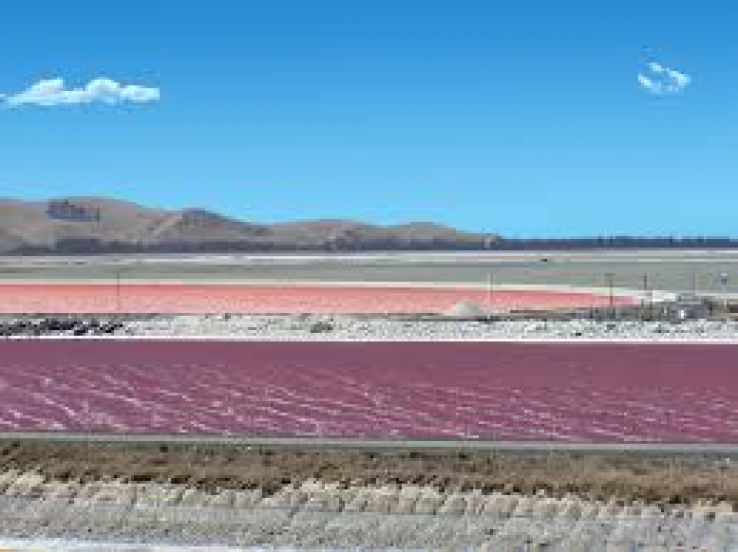 Lake Grassmere Trip Packages