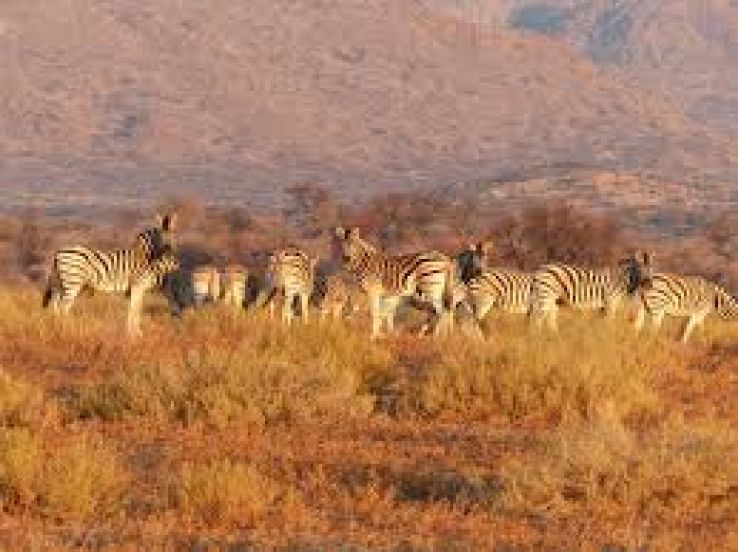 Kigio Wildlife Conservancy Trip Packages