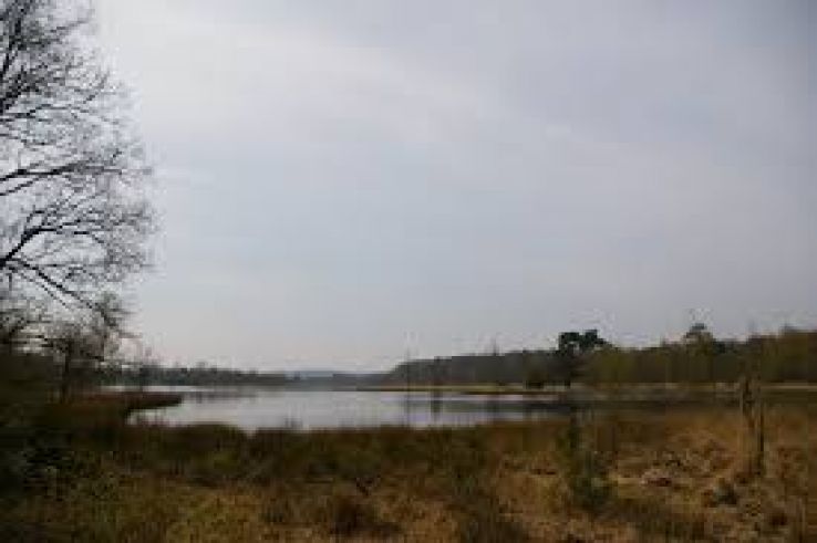 Utrechtse Heuvelrug National Park Trip Packages