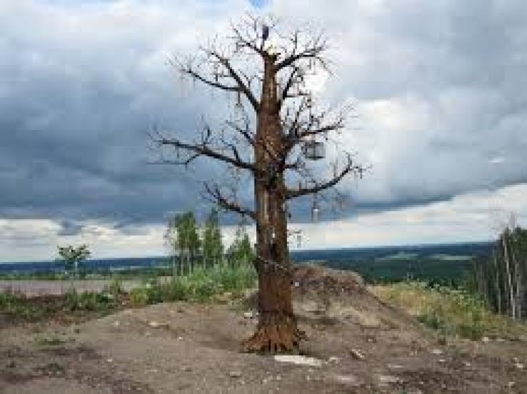 Skoindustrimuseet i Kumla Trip Packages