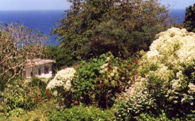 Walk across the colorful grounds of Andromeda Botanical Gardens Trip Packages