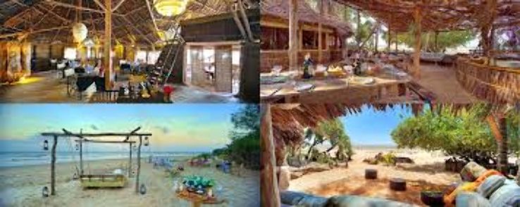 A Housefull Day at Malindi Marine National Reserve, Kenya Trip Packages