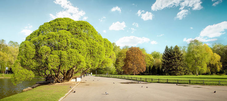 Novosibirsk Trip Packages