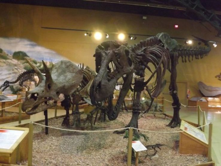 The Wyoming Dinosaur Center Trip Packages