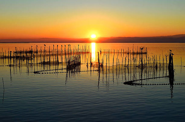 Albufera Trip Packages