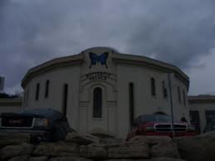 The Butterfly Palace & Rainforest Adventure Trip Packages