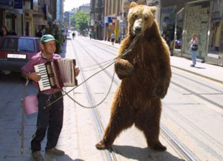 The Dancing Bears Park Trip Packages