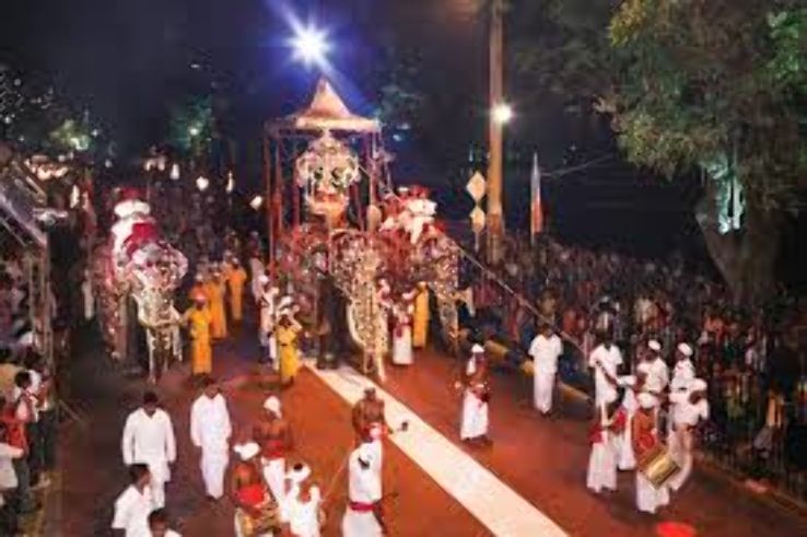 Perahera Trip Packages