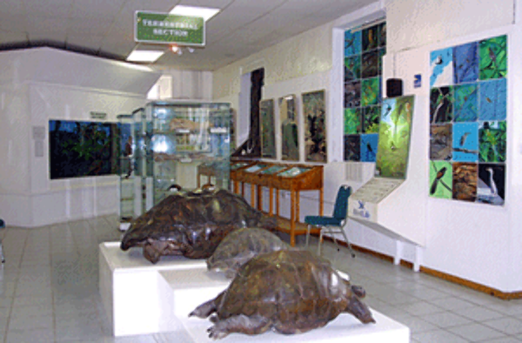 Seychelles Natural History Museum Victoria Trip Packages