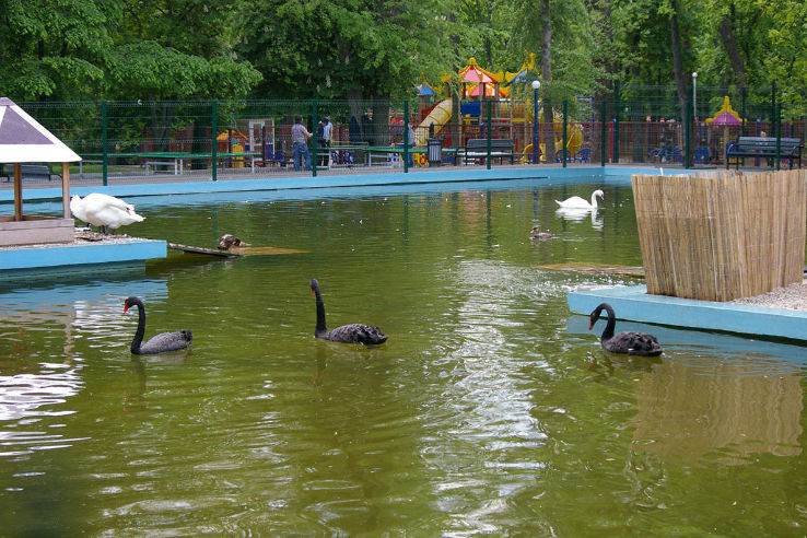 Rostov on Don Trip Packages