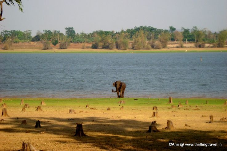 Kabini River Trip Packages