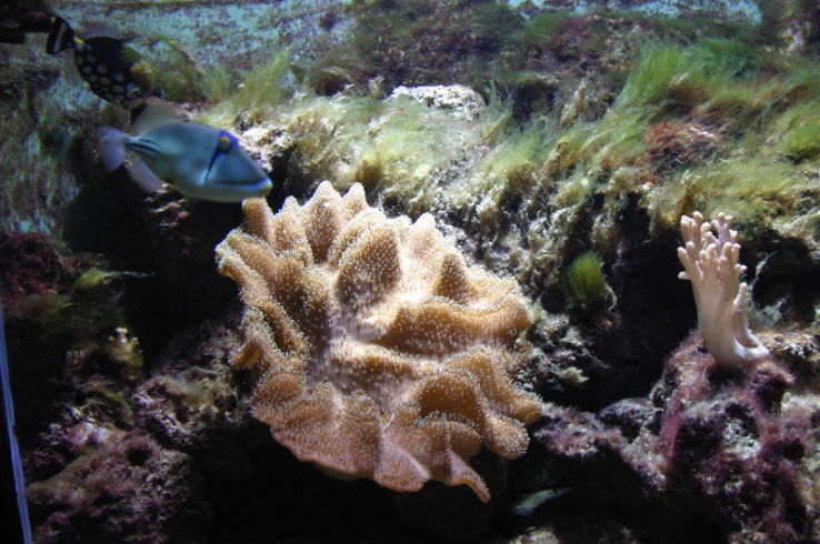 Bergen Aquarium  Trip Packages