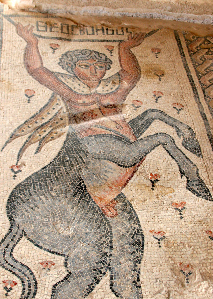  Zippori Trip Packages