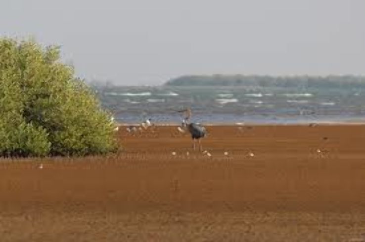 Hanle Plain Trip Packages