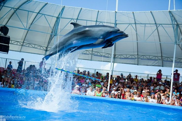 Dolphinarium Riviera Trip Packages