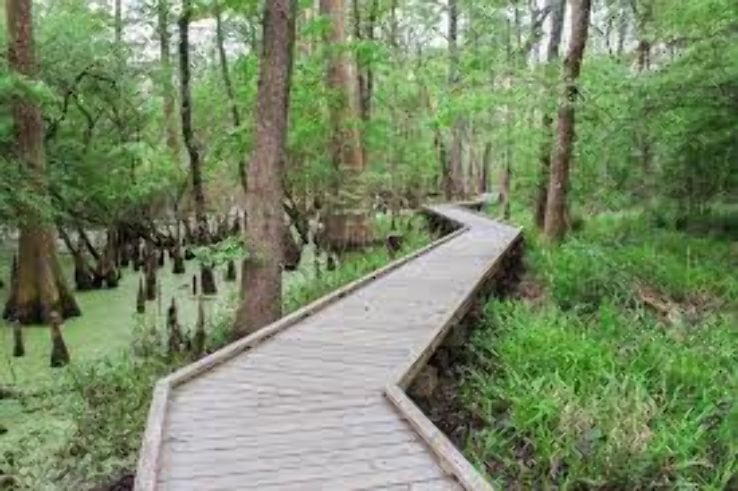 Jesse H Jones Park  Nature Center Trip Packages