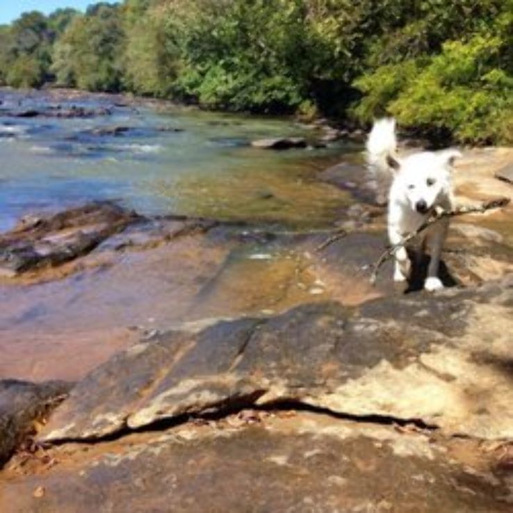 Ben Burton Park Trip Packages