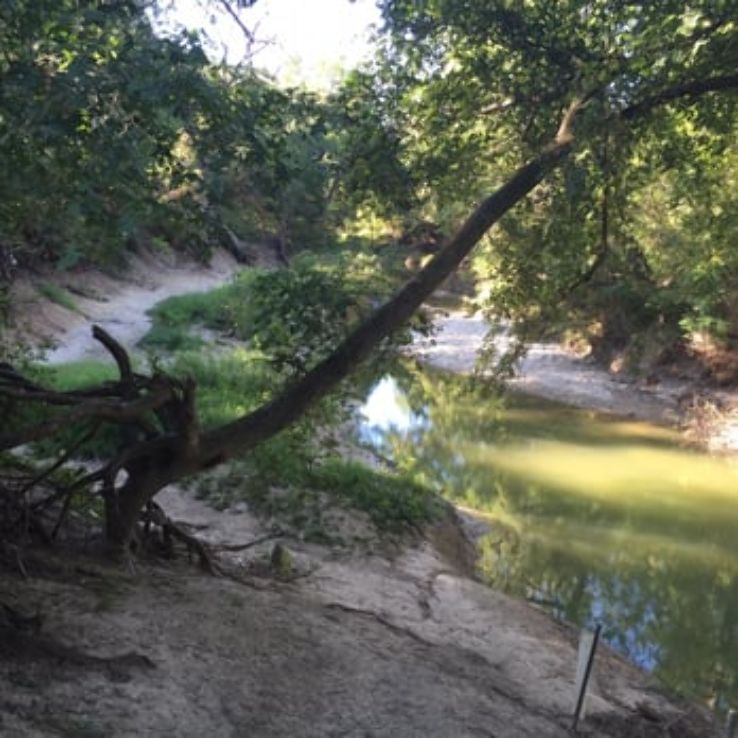 Spring Creek Park, garland, United States Of America Top Attractions