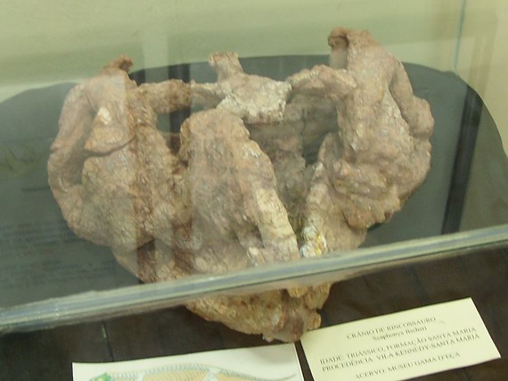 Educational Museum Gama D Eca Trip Packages