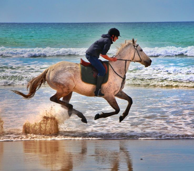 Ride on horses along the coastline  Trip Packages