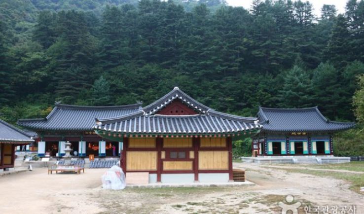 Baekdamsa Trip Packages