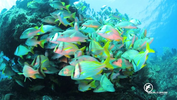 Cancun Trip Packages