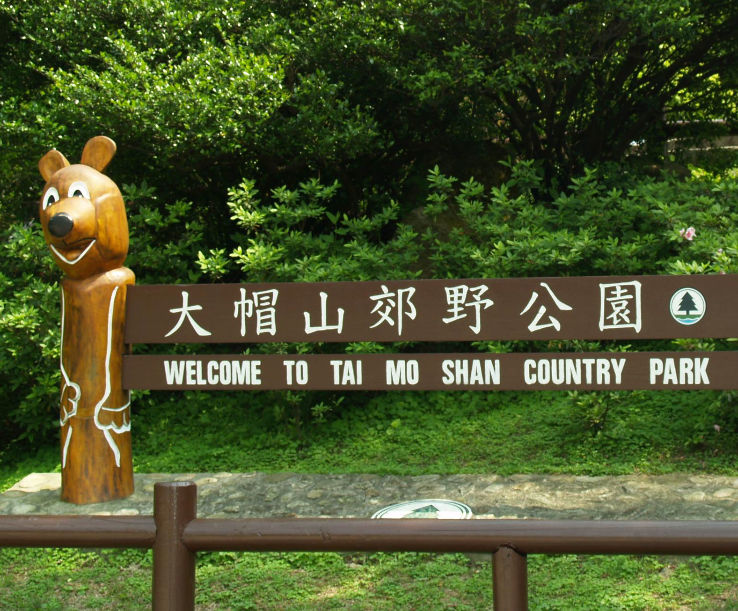 Tai Mo Shan Country Park Trip Packages