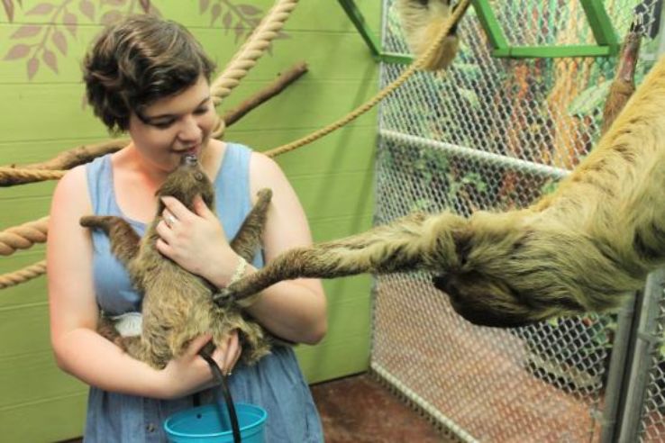 Bransons Promised Land Zoo Trip Packages