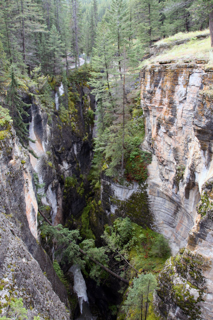 Maligne Canyon  Trip Packages