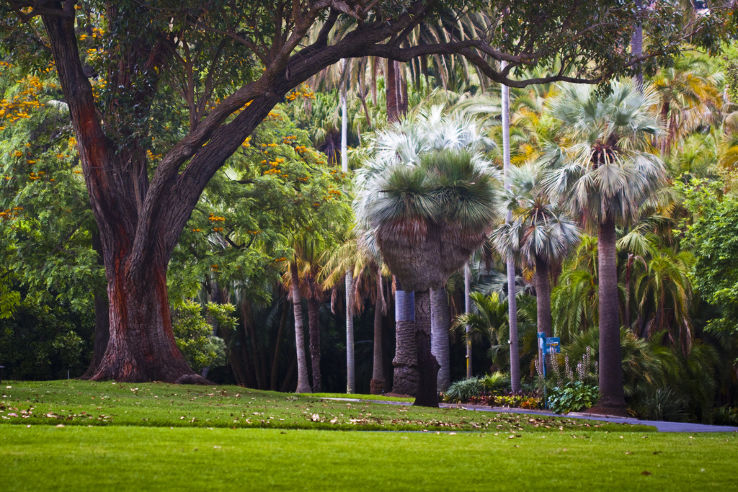 Royal Botanic Gardens Melbourne Trip Packages